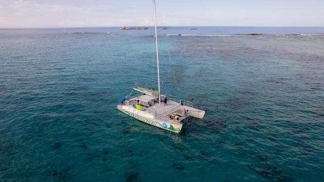 From Fajardo: Icacos Catamaran Snorkeling Tour