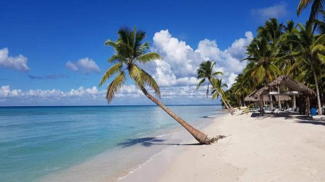Boca Chica: Saona Island Full-Day Tour with Catamaran Ride