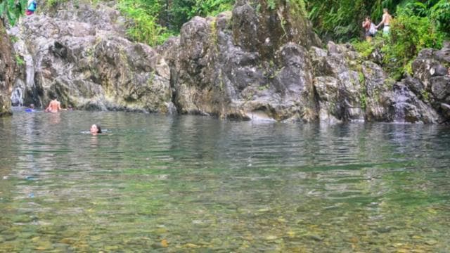 Vivid Day Tour in El Yunque Rain Forest with Transportation