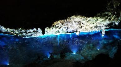 Bayahibe: National Park Jungle Walk & Snorkeling in Cenotes