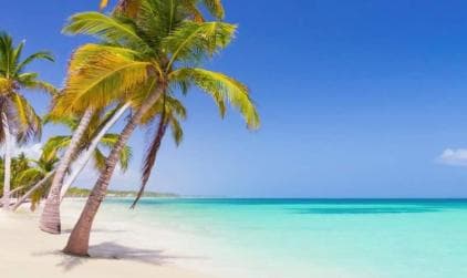 Small Group: Saona Island Full Day Tour Catamaran Open Bar