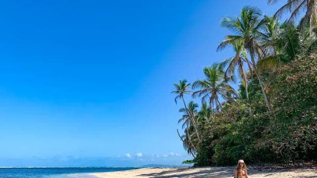 Cahuita National Park+Bribri Chocolate Tour+Waterfalls Tour+Lunch