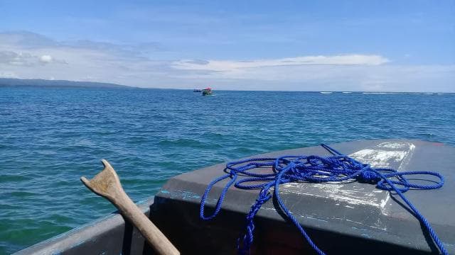 Cahuita National Park: Snorkel