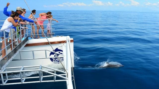 All-Inclusive Catamaran Eco Adventure with Lunch