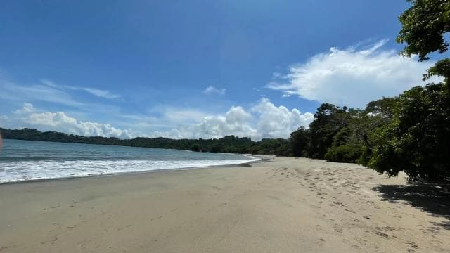 Manuel Antonio National Park: Animal watching hike
