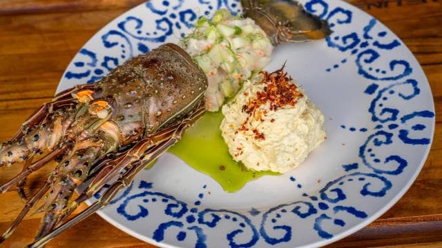 Santa Teresa: Snorkeling Boat Tour with Gourmet Lunch