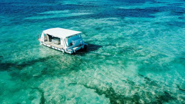 From Punta Cana: Catamaran Cruise with Lunch