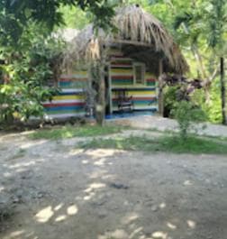 Puerto Plata: Monkeyland Tour