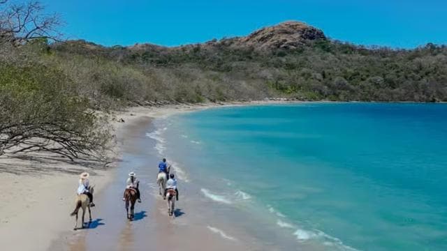 Horseback Riding & Massages Beach Tour