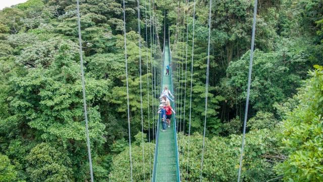 From Monteverde: Monteverde Suspension Bridge Guided Hike