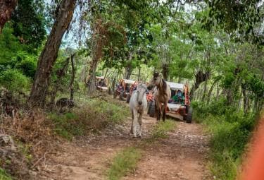 Flintstones Buggy, Cave and Adventure in Bavaro