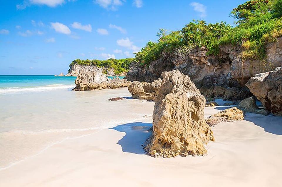 Punta Cana: Safari Outdoor Adventure with Hotel Pickup