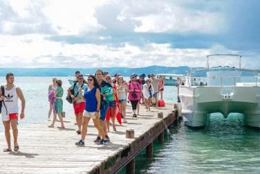 From Bayahibe: Samanà Whale Watching and Bacardi Island Tour