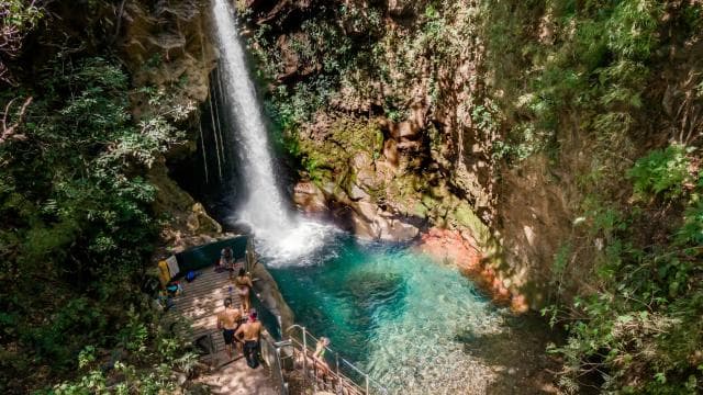 Combo: Lunch + Oropendola waterfall