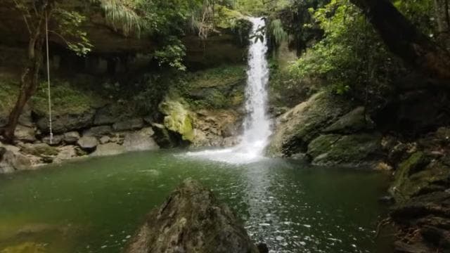 Puerto Rico: Gozalandia River Hiking and Waterfall Tour