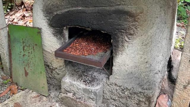 San Carlos: The Art of Chocolate Making Tour at Don Olivo