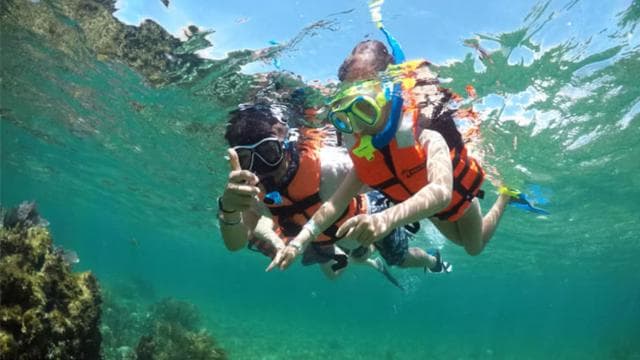 From Jacó: Isla Tortuga Small-group Adventure Tour