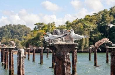 Los Haitises: Hiking and Kayaking natural pools Tour & Lunch