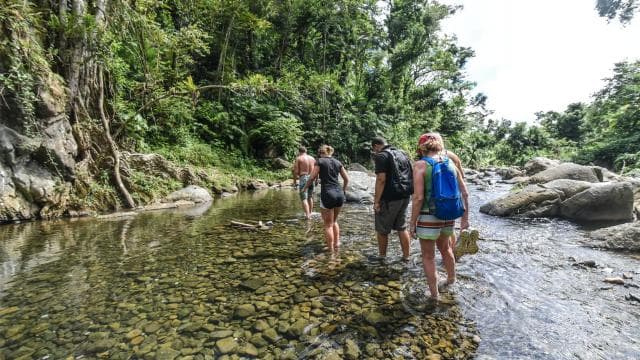 From San Juan: El Yunque Rainforest & Bio Bay Kayak Combo