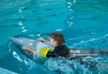 Punta Cana: Dolphin Explorer Park Entry, Swim, or Encounter