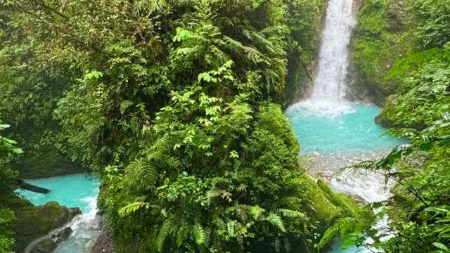 La Fortuna: Blue Falls Shuttle with Free Time to Explore