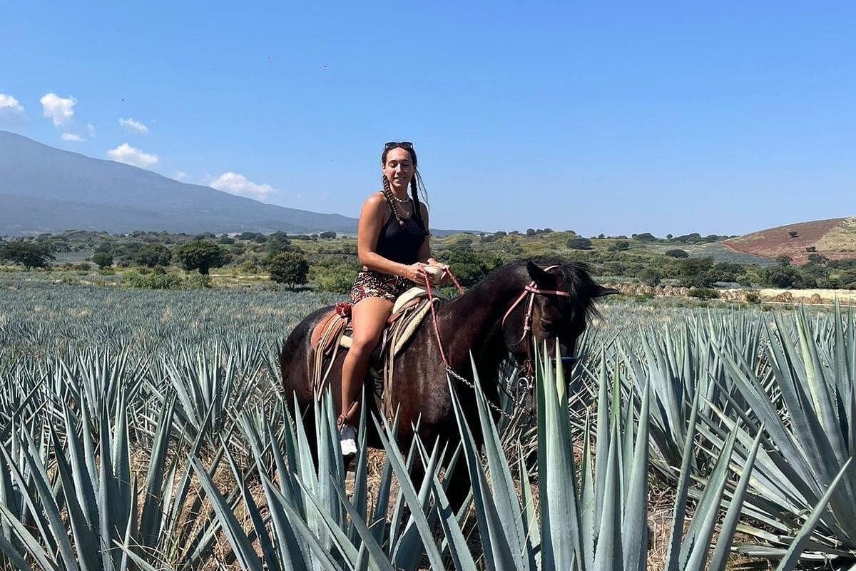 Full-Day Tour in Tequila factory and Cantaritos el Gúero