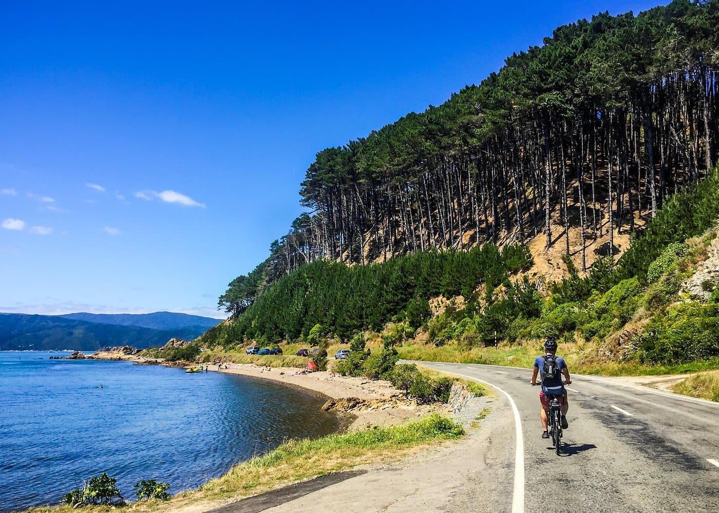 Wellington Electric Bike Rental