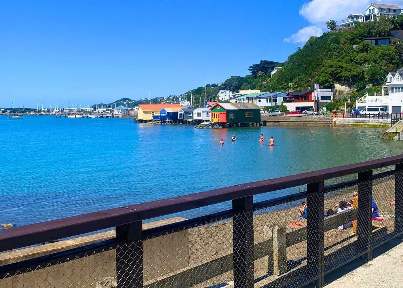 Wellington Electric Bike Rental