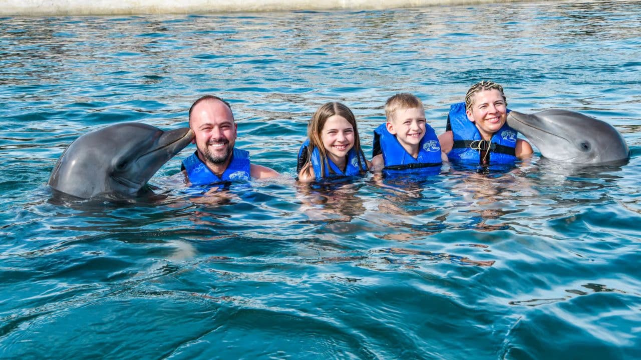 VIP Swim with Dolphins at Ocean World Puerto Plata