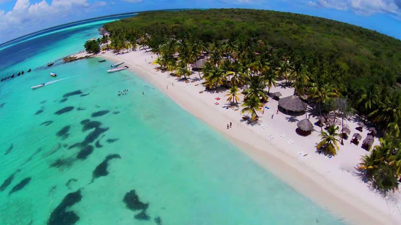 Saona Island: Incredible day With buffet from Punta Cana