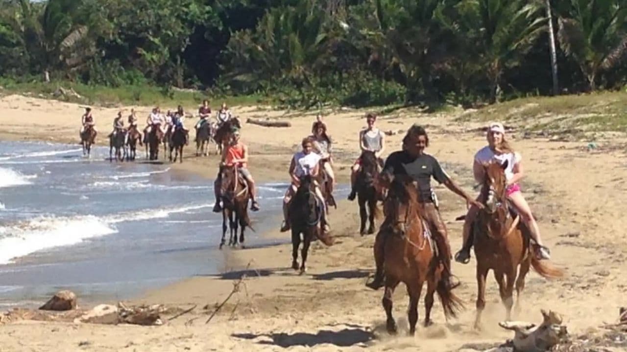 Puerto Plata: 2-Hour Horseback Ride on the Beach