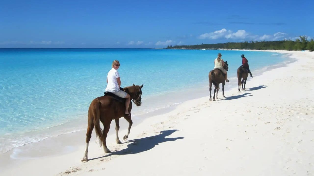 Puerto Plata: 2-Hour Horseback Ride on the Beach