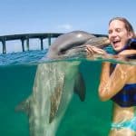 Punta Cana: Dolphin Experience in the Sea