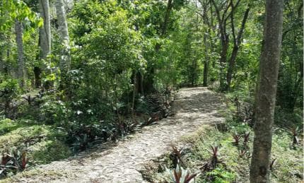 Santo Domingo: Natural Treasures of the City