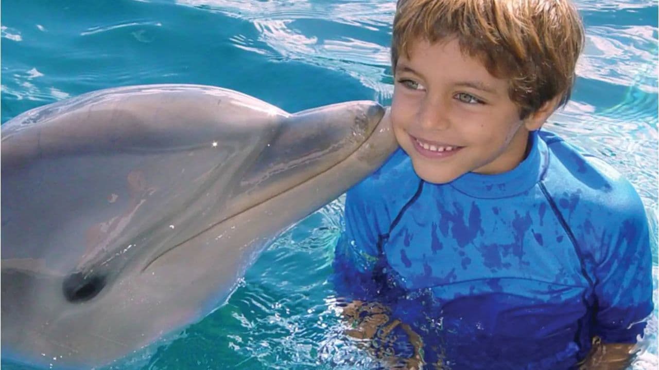 Dolphin Encounter at Ocean World, Puerto Plata