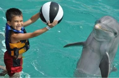 Punta Cana: Swim or Interact with Dolphins in the Sea