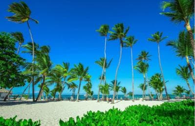Private: Isla Saona VIP Escape Luxury Beach & Speedboat Tour