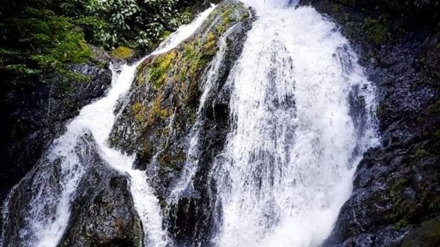 Jaco: Waterfall Rappelling & Jungle Tractor Tour