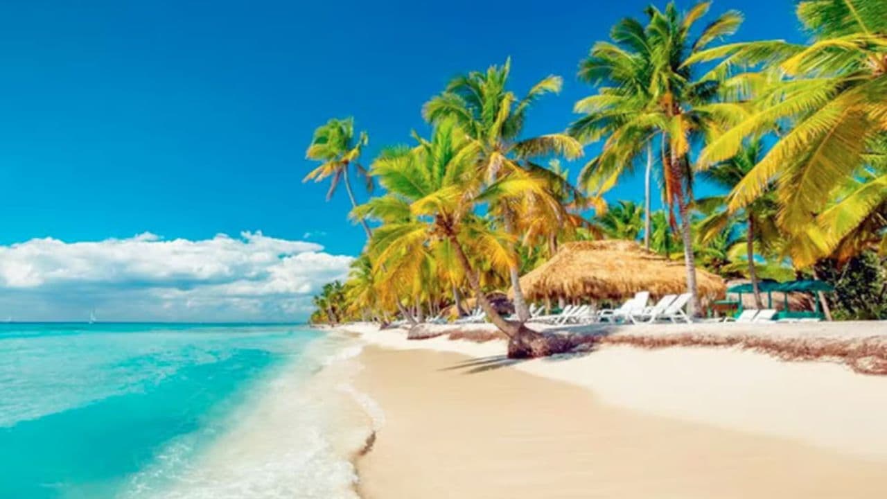 Saona Island From Punta Cana Dominican Republic Book Now