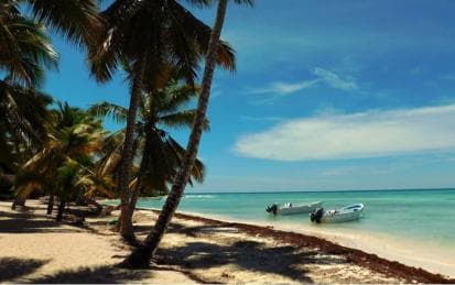 Saona Island Day Trip + Lobsters Included