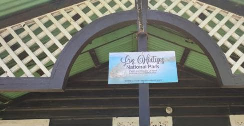 Miches: Los Haitises, Transfer, Walking & Boat tour.