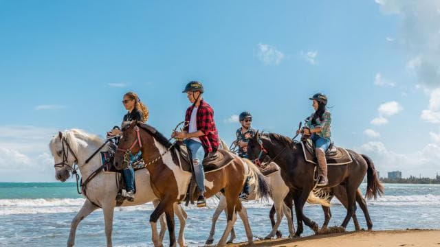 Carabalí Rainforest Park: Beach Horseback Riding