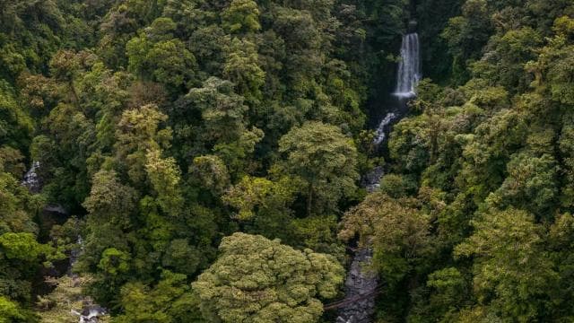 Monteverde: Waterfalls, Wild Trekking and Horseback Riding