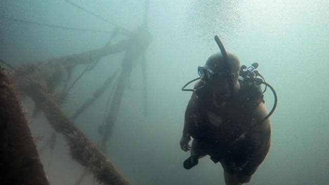 Golfito, Costa Rica: Amazing Day Wreck &/or Reef Dive Trips