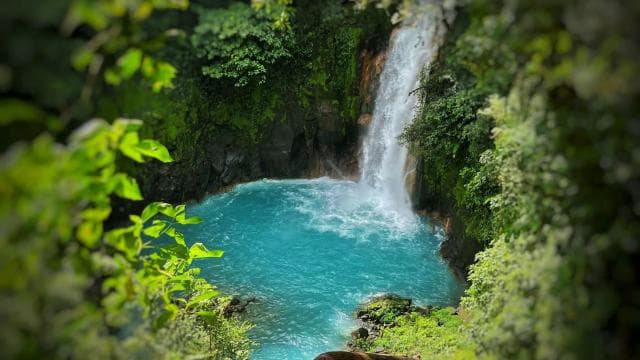 Rio Celeste: Rainforest, Sloths and Wildlife.