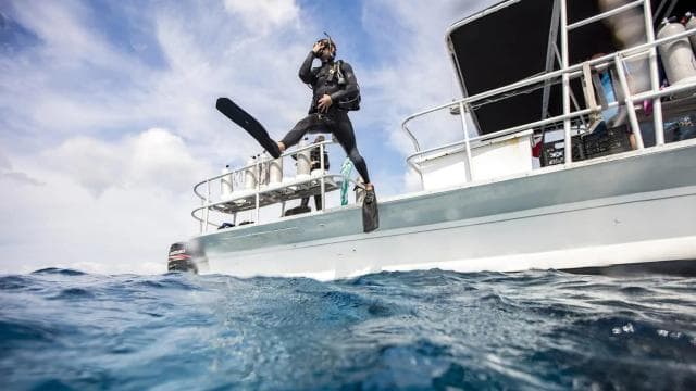Las Catalinas: Discover Scuba Diving at Flamingo & Tamarindo