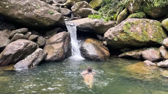 El Yunque: Hidden Off The Path Waterfall Hike w/ Transport