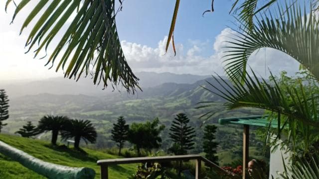 for Small Groups Half-Day Tour to Montaña Redonda