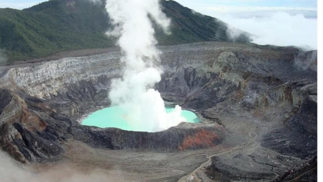 Volcan Poas: Volcan Poas National Park Flora & Fauna Tour