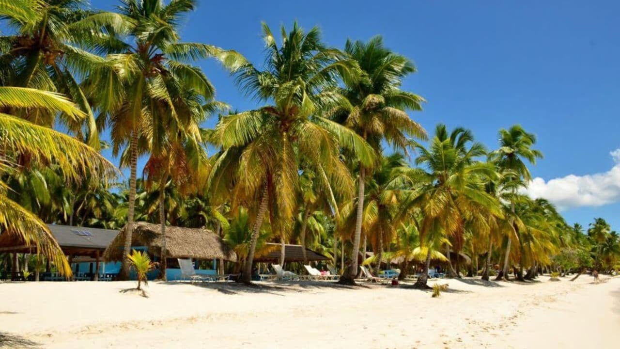 All-Inclusive Saona Island Day Trip from Punta Cana